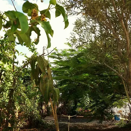 Encantadora Casita Con Molino Y Piscina Vakantiehuis Antigua (Fuerteventura)